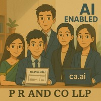 P R AND CO LLP logo - Similar company to P S B S & Co