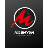 PSE Milenyum logo - Similar company to Mimroyal