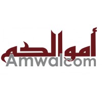Amwalcom (Expertise-comptable, Audit, Conseil Finance Islamique) logo - Similar company to True Partners