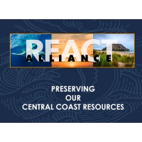 REACT Alliance logo - Similar company to Windbotix Solutions