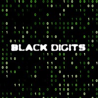 Black Digits Amazon Marketing Agency logo - Similar company to Zenith Amazon Agency