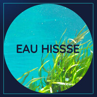 EAUHISSE logo - Similar company to La Route Des Tata