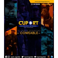 Cuport logo - Similar company to Gevise