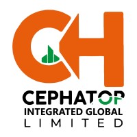 Cephatop Integrated Global Limited logo - Similar company to Isurf Global Services