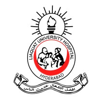 Liaquat University Hospital logo - Similar company to Othlume