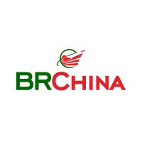 BRChina logo - Similar company to Performa