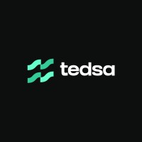 Tedsa Academy logo - Similar company to Technovatorai