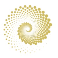 Ir Foundation Inc logo - Similar company to Domus Inversiones