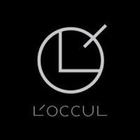 L'occul logo - Similar company to Passvoy