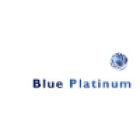 Blue Platinum Consulting