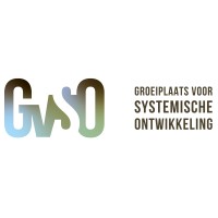 GVSO logo - Similar company to C-Next Level