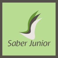 Saber Engenharia Junior logo - Similar company to Postech