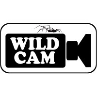 Wildcam (Pty) LTD logo - Similar company to Space Gravity Films
