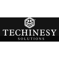Techinesy Solutions logo - Similar company to Complete Tweaks