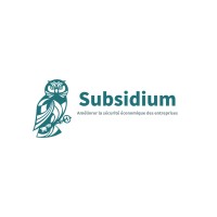 SUBSIDIUM logo - Similar company to Nativing