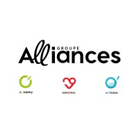 Groupe Alliances Sud-Ouest logo - Similar company to Ithursarry