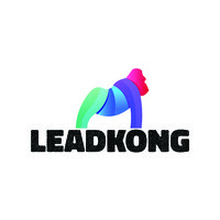 Leadkong LTD logo - Similar company to Informant.It