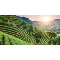 Global Investors Alert logo - Similar company to Global Agribusiness Ventures Inc.
