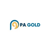 P.A. Gold Mineração e Metalurgia S.A logo - Similar company to G Mining Services / G Services Miniers