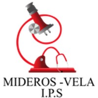 IPS MIDEROS VELA logo - Similar company to Spl Group Mexico & Latam