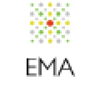 The Emerging Market Advisors