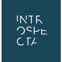 Introspecta logo - Similar company to Introspecta