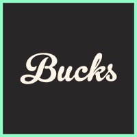 Bucks Digital Media Publishing Agency logo - Similar company to Hayat Creative