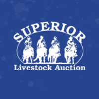 Superior Livestock logo - Similar company to Platte County Missouri