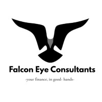 Falcon Eye LLC logo - Similar company to Callistyle