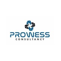Prowess Consultancy logo - Similar company to Webkaam Infotech