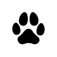 We Bring Smiles logo - Similar company to Warden Startup School