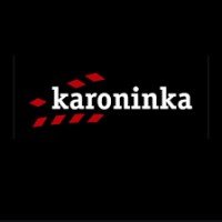 Karoninka logo - Similar company to Karoninka.