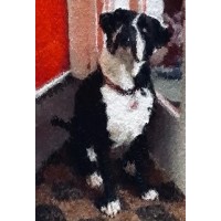 Blind Dog Supply Chain Risk Consulting logo - Similar company to Global Supply Chain Risk Consulting, Llc