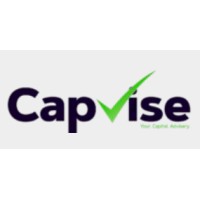 Capvise logo - Similar company to Seacap Solutions