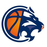Ouest Lyonnais Basket logo - Similar company to Ligue Auvergne-Rhône-Alpes De Basketball