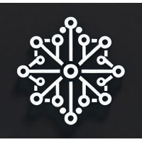 Skyrai logo - Similar company to Elasticforce.Io