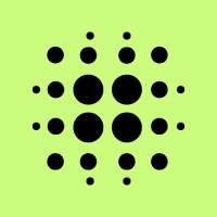 Buzz CX Egypt logo - Similar company to Hifive Group