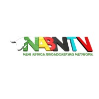 NABNTV logo - Similar company to Digiup