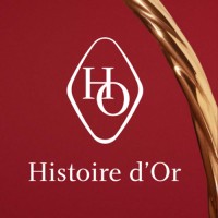 Franchise Histoire d'Or logo - Similar company to Thom