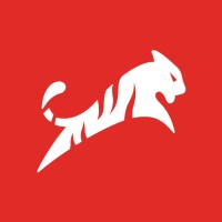 Apexx Strategies logo - Similar company to Ipss Corp
