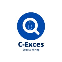 C-Exces Jobs & Hiring logo - Similar company to B-Raja Networks