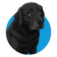 Blacklab Dev