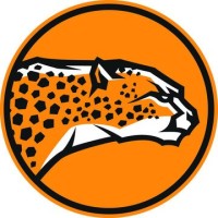 NoFeeSwap logo - Similar company to Zeetsoft