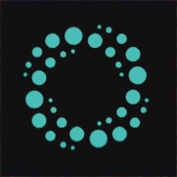 Governance in Focus logo - Similar company to Australian Cyber Network