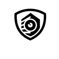 Allfine Security logo - Similar company to Palladium Energy Group