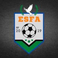 Ebenezer Stars Football Academy logo - Similar company to Midas Football Academy