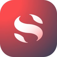 Saga logo - Similar company to D&Ms (Digital And Media Solutions)