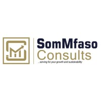 SomMfaso Consults Limited logo - Similar company to Jostimo Group