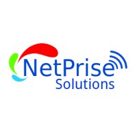 NetPrise Solutions logo - Similar company to Innovality