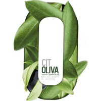 CITOLIVA logo - Similar company to Am System S.L.